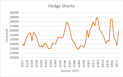 Nat Gas Hedge Shorts